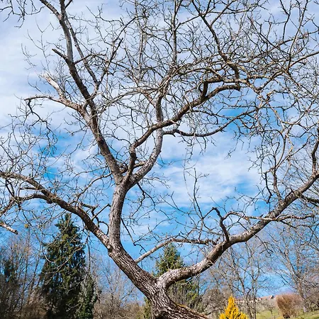 Semesterbostad Schilcherlandleben - Sankt Stefan ob Stainz