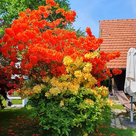 Schilcherlandleben - * Sankt Stefan ob Stainz