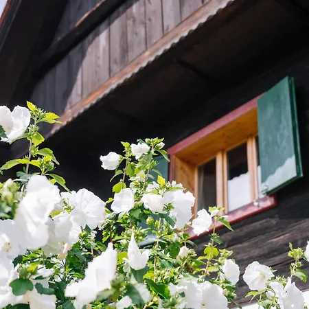 Schilcherlandleben - Ferienhaus