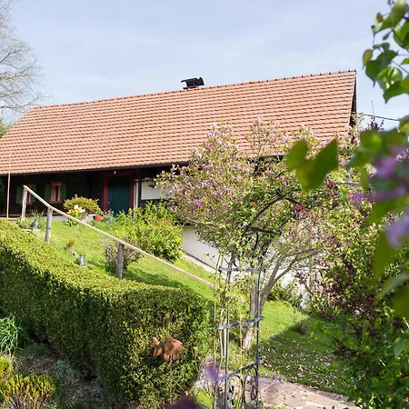 Ferienhaus Schilcherlandleben - *