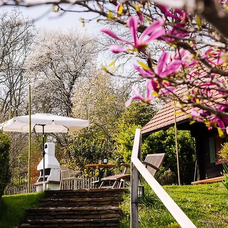 Schilcherlandleben -