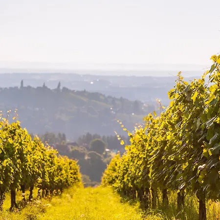 Schilcherlandleben -