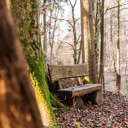 Ferienhaus Schilcherlandleben - Sankt Stefan ob Stainz