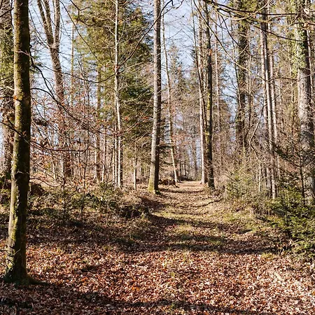 Schilcherlandleben - *