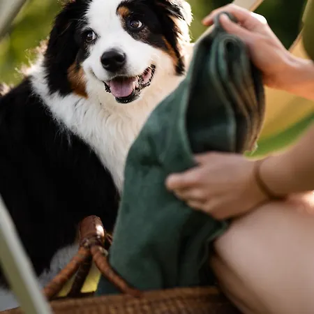 Schilcherlandleben - *