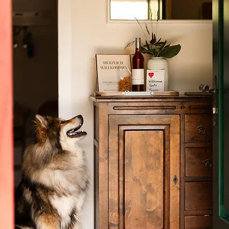 Schilcherlandleben - Sankt Stefan ob Stainz