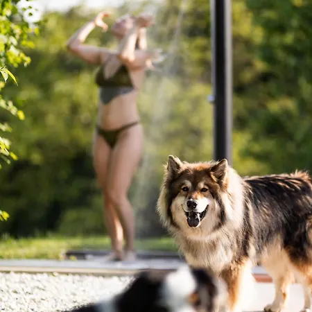 Schilcherlandleben - * Sankt Stefan ob Stainz