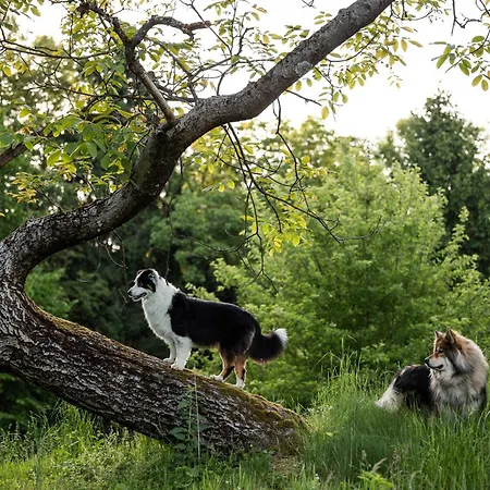Prázdninový dům Schilcherlandleben - Sankt Stefan ob Stainz