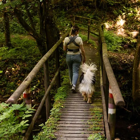 Schilcherlandleben - Prázdninový dům *