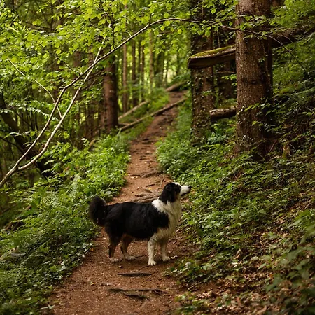 Schilcherlandleben - Prázdninový dům Sankt Stefan ob Stainz