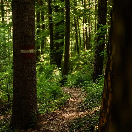 Schilcherlandleben - *