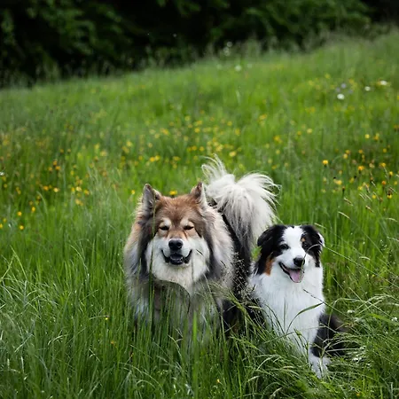 Schilcherlandleben -