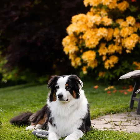 Prázdninový dům Schilcherlandleben - Sankt Stefan ob Stainz