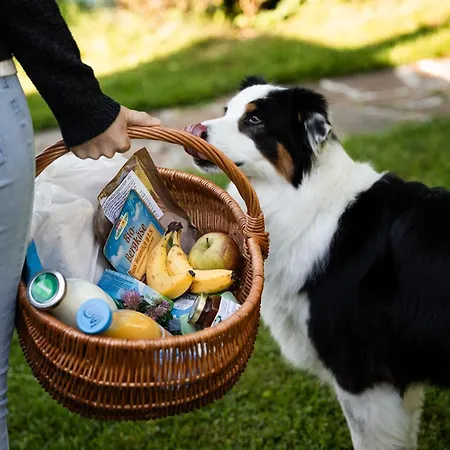 Schilcherlandleben - Sankt Stefan ob Stainz