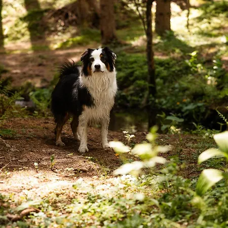 Prázdninový dům Schilcherlandleben -