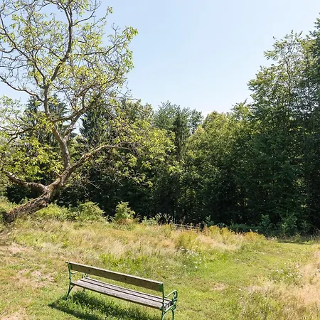 Schilcherlandleben - *