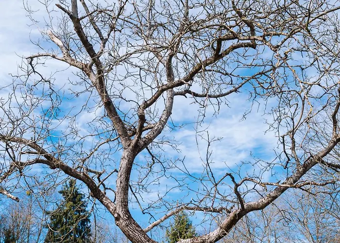 Holiday home Schilcherlandleben - Sankt Stefan ob Stainz