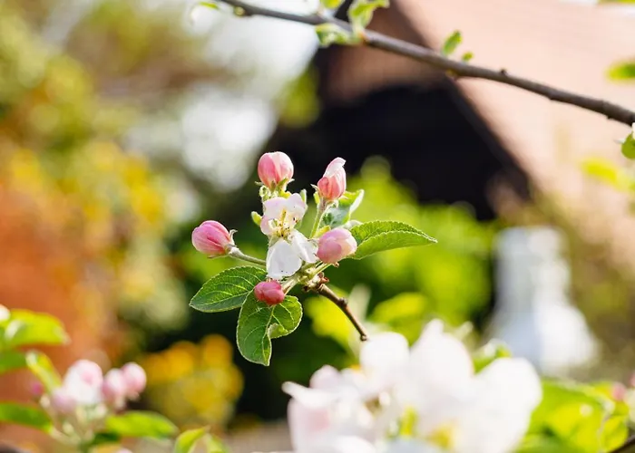 Schilcherlandleben -