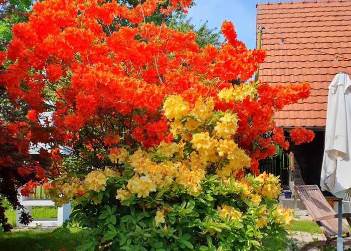 Schilcherlandleben - * Sankt Stefan ob Stainz