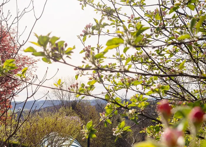 Schilcherlandleben - Holiday home *