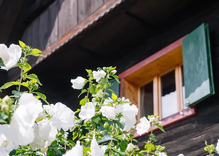 Schilcherlandleben - Holiday home