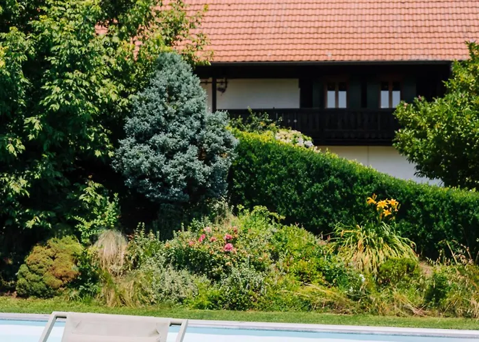 Holiday home Schilcherlandleben - *