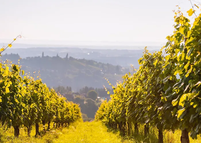 Schilcherlandleben -