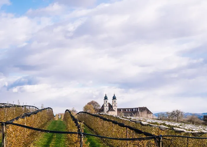 Schilcherlandleben -