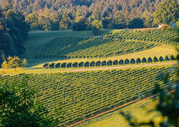 Schilcherlandleben - Holiday home