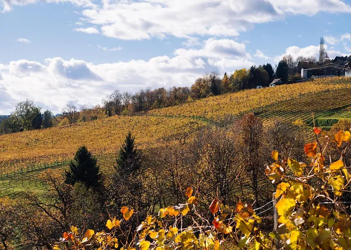 Schilcherlandleben - *