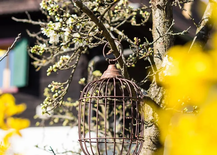 Schilcherlandleben - Sankt Stefan ob Stainz