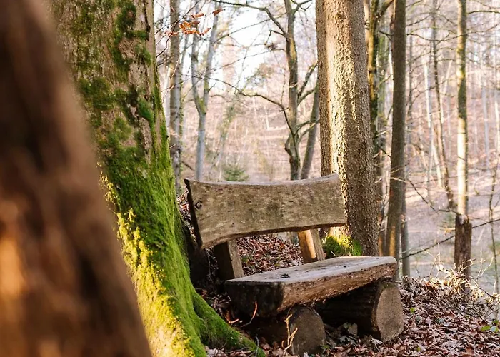 Holiday home Schilcherlandleben - Sankt Stefan ob Stainz