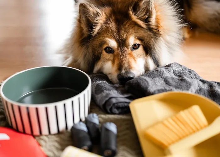 Holiday home Schilcherlandleben -