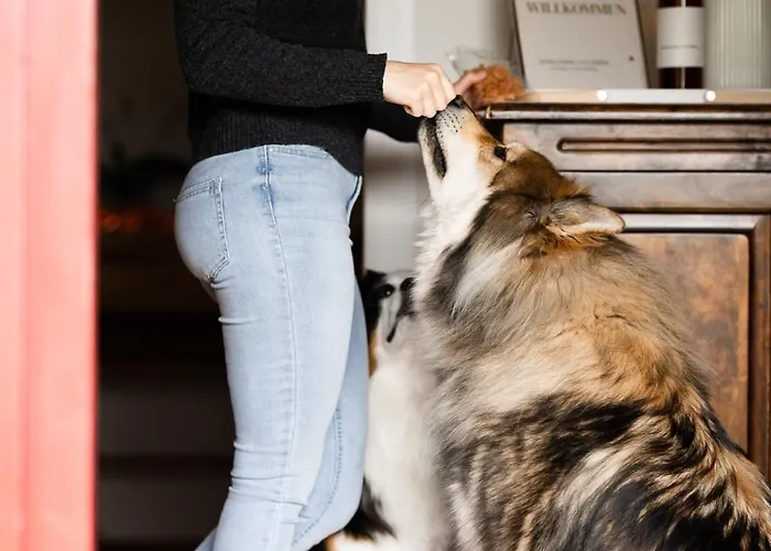 Schilcherlandleben - Holiday home Sankt Stefan ob Stainz