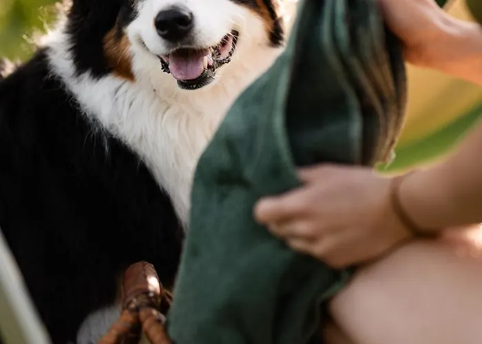 Schilcherlandleben - *