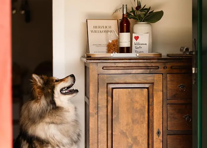 Schilcherlandleben - Sankt Stefan ob Stainz