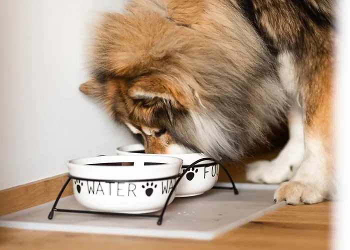 Holiday home Schilcherlandleben -