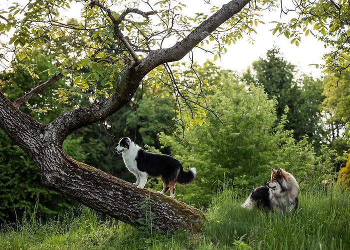 Holiday home Schilcherlandleben - Sankt Stefan ob Stainz