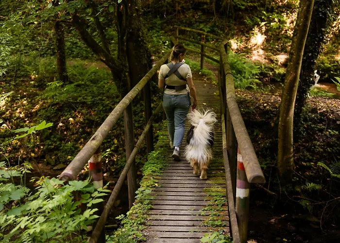 Schilcherlandleben - Holiday home *