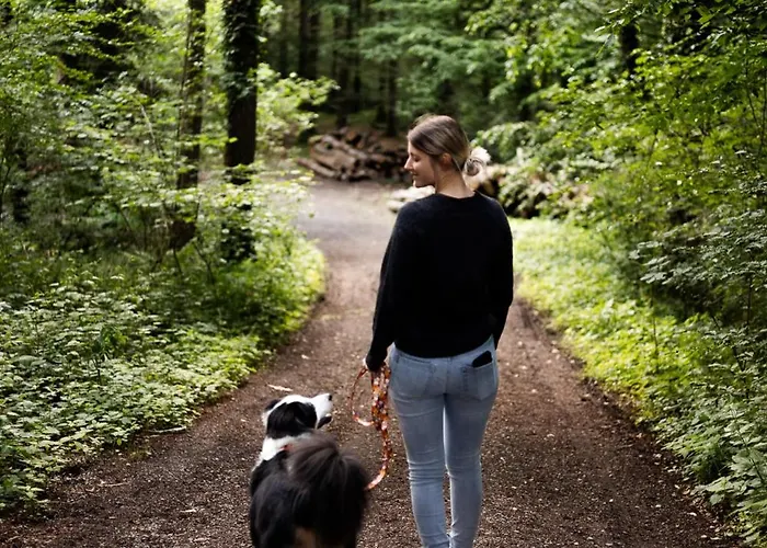 Schilcherlandleben - Sankt Stefan ob Stainz