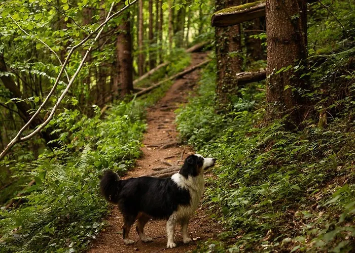Schilcherlandleben - Holiday home Sankt Stefan ob Stainz