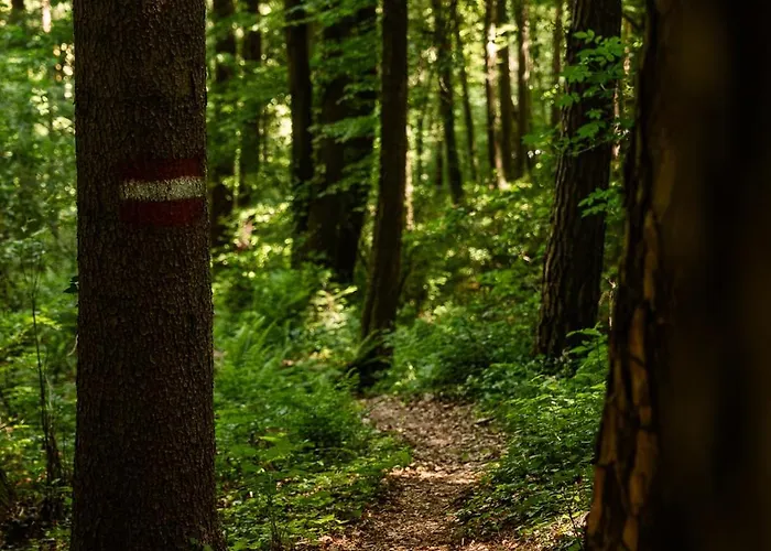 Schilcherlandleben - *