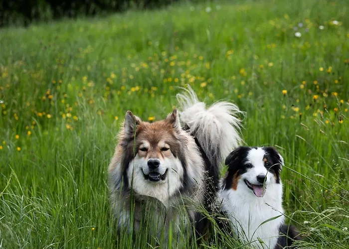 Schilcherlandleben -