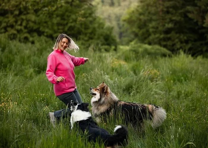 Schilcherlandleben - Holiday home Sankt Stefan ob Stainz