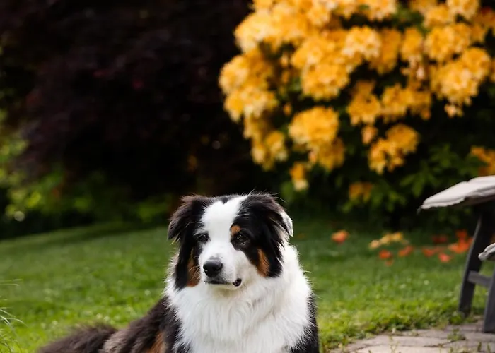 Holiday home Schilcherlandleben - Sankt Stefan ob Stainz