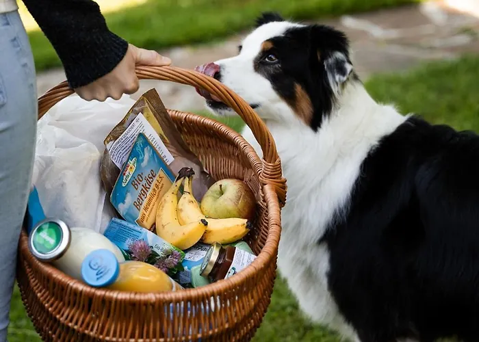Schilcherlandleben - Sankt Stefan ob Stainz