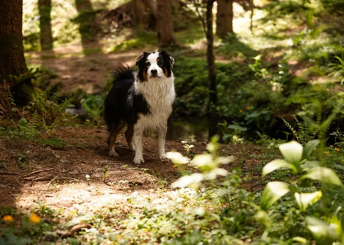 Holiday home Schilcherlandleben -